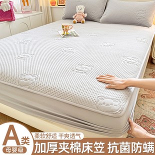 床I垫套保护罩四季 夹棉床笠单件加厚抗菌床罩2025新款 通用防尘床
