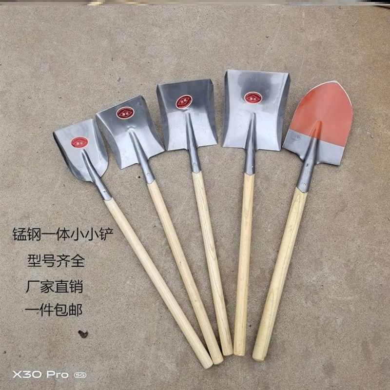 铁锨农用铁秋铲铁铲挖土户外铲子园艺工具种植树养花白钢小铁锹铲,农机/农具/农膜,铲子,淘宝优惠券,粉丝福利购,淘宝优惠卷