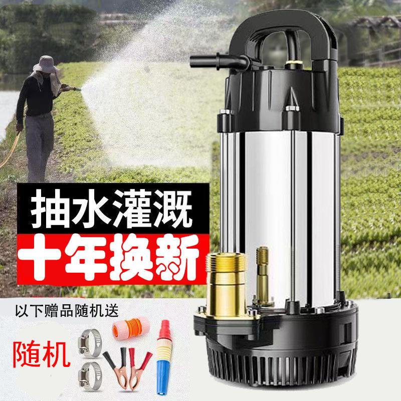直流潜水泵12V36V24V48V60V72V84V96V农船用直流泵电瓶动车抽水机