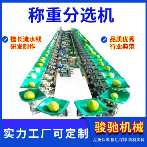 源头厂家禽蛋果蔬称重分选机 农产品果蔬粮食分选流水线设备