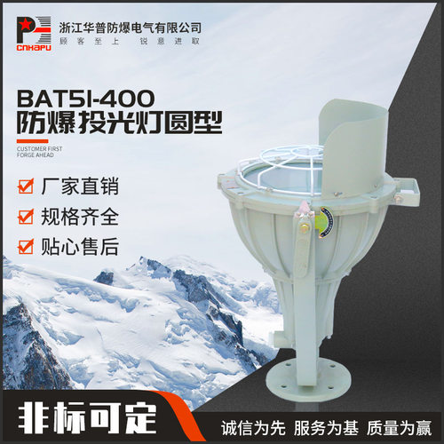 BAT51-400防爆投光灯 LED防爆灯防爆泛光灯 圆型LED防爆投光灯