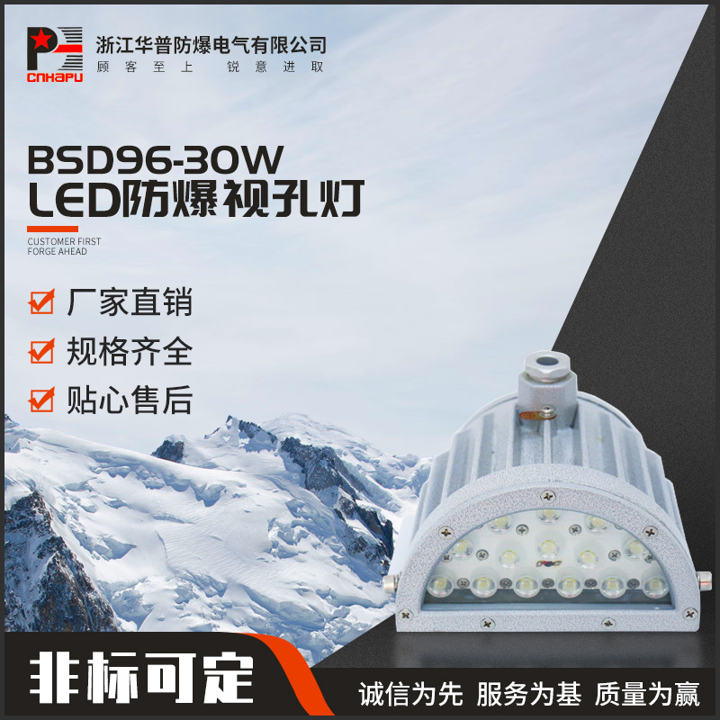 LED防爆视孔灯BSD96-30W半圆视孔灯 防爆视镜灯防爆安全照明灯