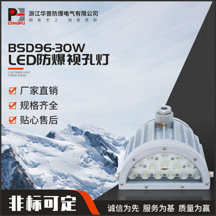 LED防爆视孔灯BSD96 防爆视镜灯防爆安全照明灯 30W半圆视孔灯