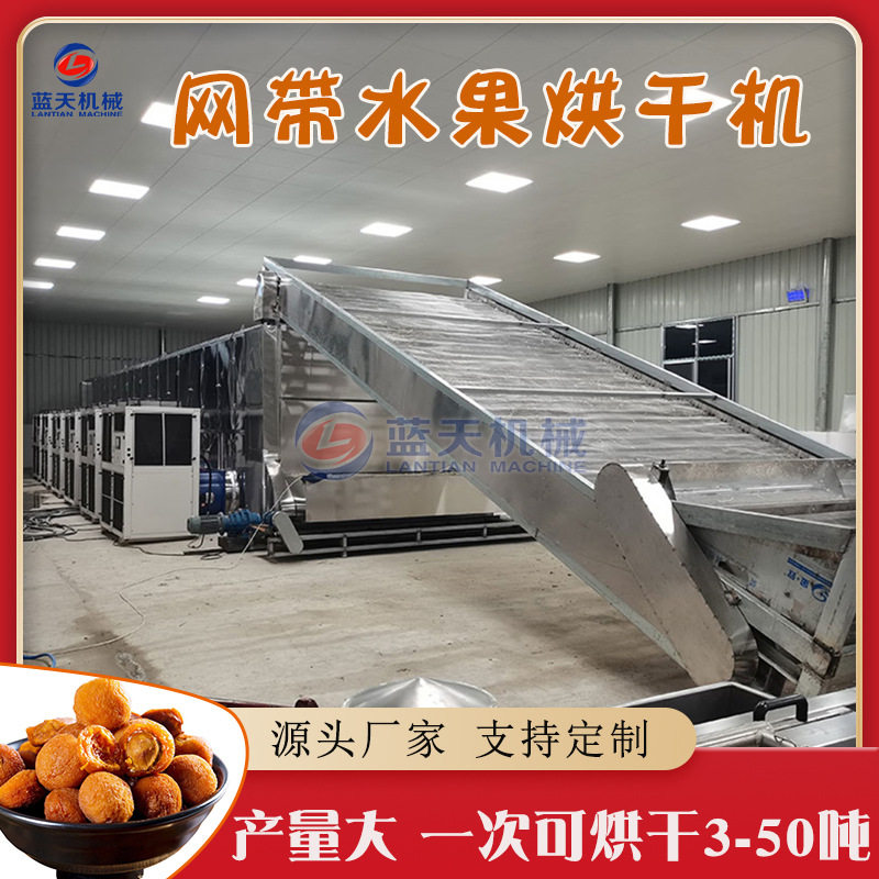 网带水果烘干机 杏子李子清洗烘干包装生产线 大型乌梅杏脯干燥机,五金/工具,工业电炉,淘宝优惠券,粉丝福利购,淘宝优惠卷
