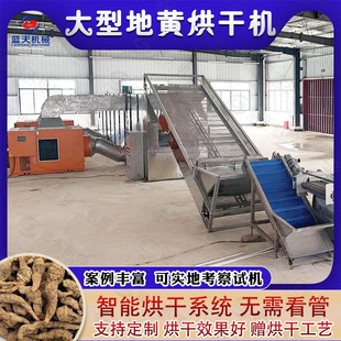 网带式地黄烘干机 生物质颗粒生地烘干设备 焦作生地黄自动烘干机