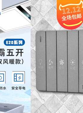赞牌浴霸开关浴室五开灯暖开关5开灰色防水4合1防水面板3C