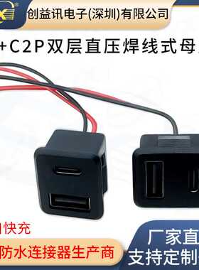 双层A+C 双层插口usb a母 灯具充电插口电源插座带线连接器