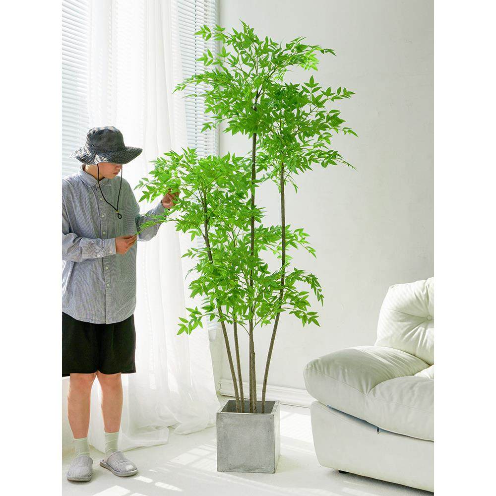 彷真植物南天竹落地盆栽彷生绿植摆件客厅沙发边家居装饰盆景假树,家居饰品,仿真植物盆景,淘宝优惠券,粉丝福利购,淘宝优惠卷