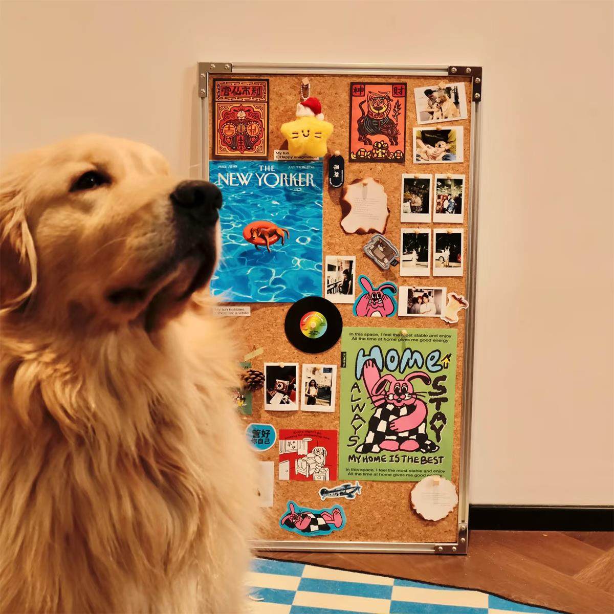 铝型材软木板画框照片展示收纳相框墙工业风挂墙画板自由组合相片