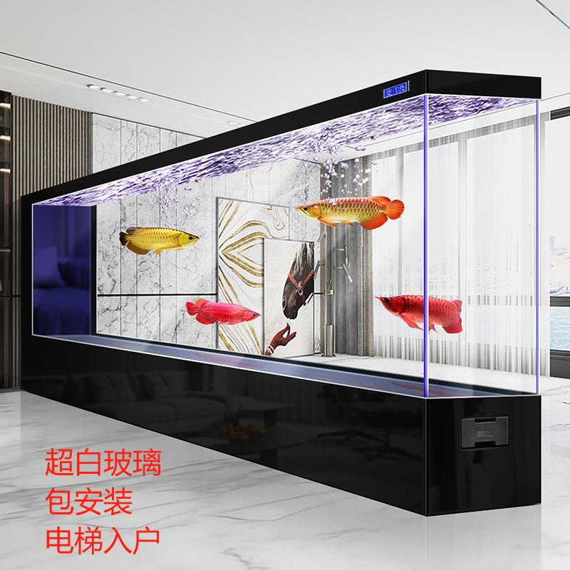 2025客厅中大型屏风玄关隔断懒人自动循环生态水族箱超白玻璃鱼缸