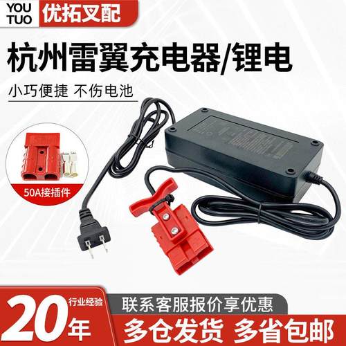 杭州雷翼电动堆高机锂电池充电器DZL482002(48V3A)堆高机配件CBD1