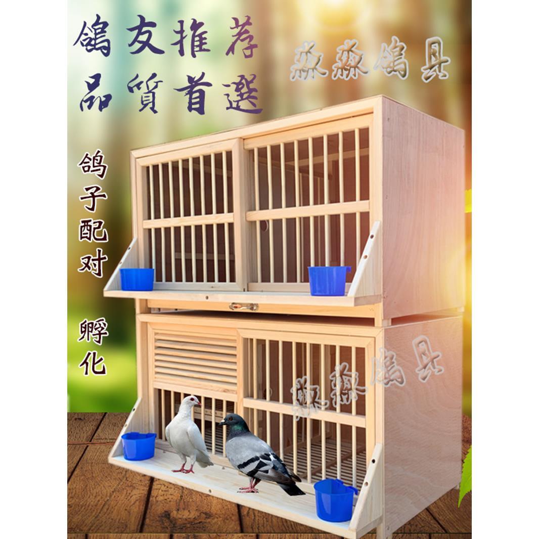 赛飞种鸽笼养殖笼繁殖笼配对笼包邮大号信鸽巢窝木制鸽子巢箱组合
