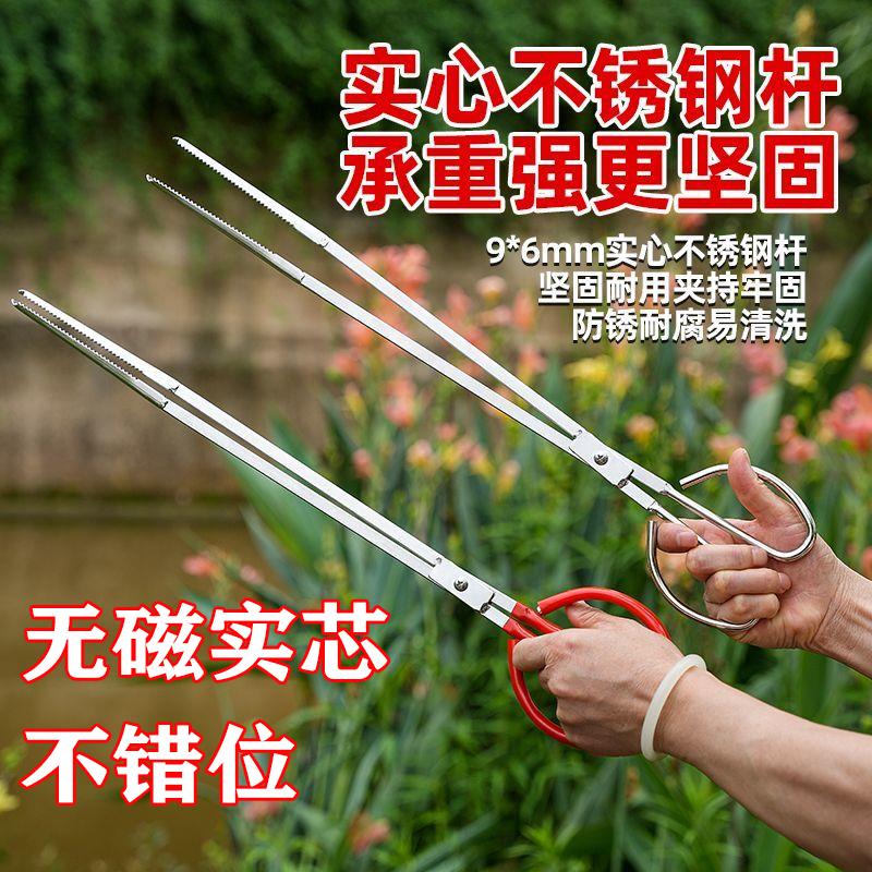 不锈钢黄鳝夹炭夹户外赶海夹子烧烤工具火钳加长加厚碳夹垃圾夹