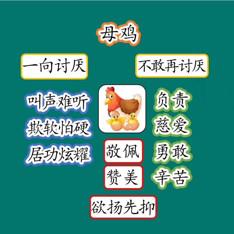 母鸡板贴板书磁性贴公开课教具教学设计黑板定制塑封四下语文