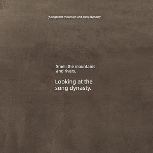 山宋汽车香薰2025新款 纳福汽车排气口香薰饰品高端香水持久淡香