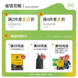 种植挖工具园艺多肉菜铲子塑料种阳台家用加厚土松双心铲花土土种