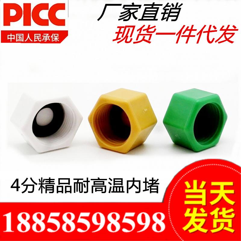 DN15内丝堵头 4分内丝堵头 1/2内丝堵帽 PPR塑料堵头PPR管堵 闷头