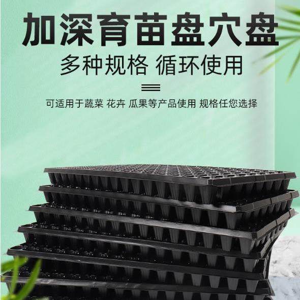 厂家加厚草莓穴盘林木穴盘百香果蔬菜育苗盘高脚加深林木育苗穴盘