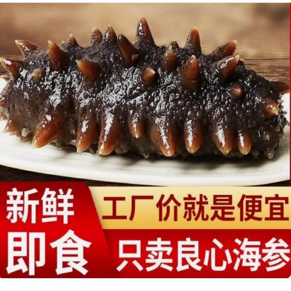 4斤/6斤即食海参刺参鲜活辽参大连野生底播海参开袋即食非淡干