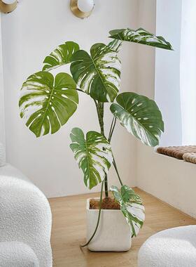 娄夏的白色锦缎怪物人造绿色植物客厅装饰饰品无障碍豪华人造树大