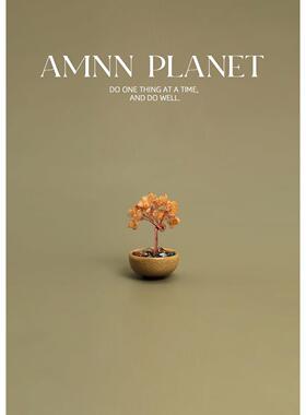 AMNN 天然黄水晶迷你发财树摆件玄关桌面办公室装饰乔迁小礼物