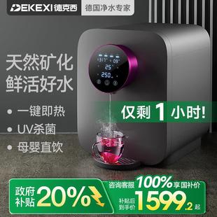 政府补贴德国德克西直饮机瞬热式 桌面热水饮水机RO反渗透净水一体