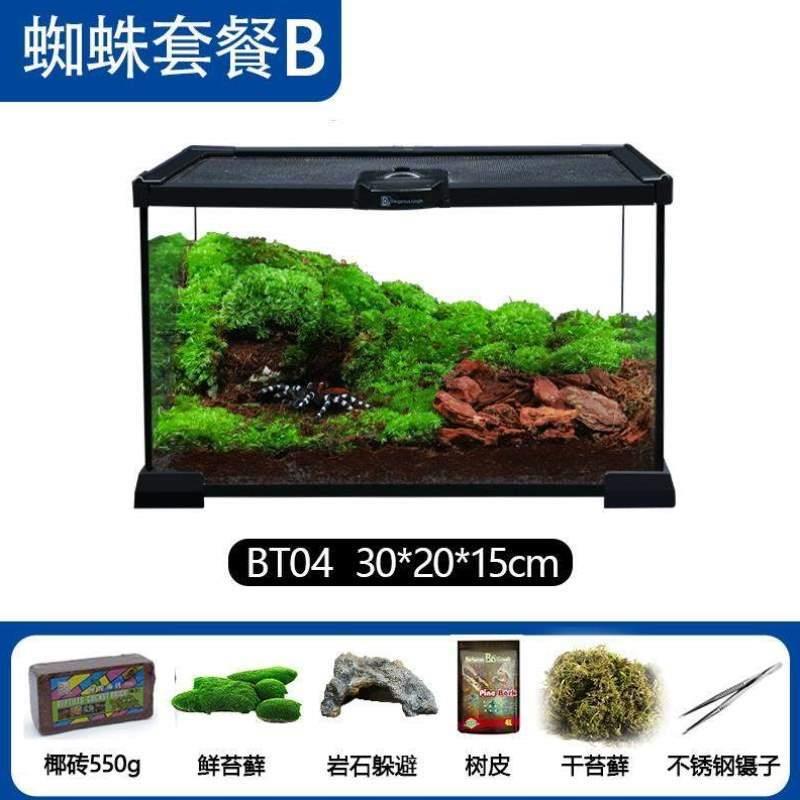 箱宠玻璃缸角蛙蜘蛛养蛇缸爬虫雨林饲养爬生态蜥蜴造景陆龟守宫BG