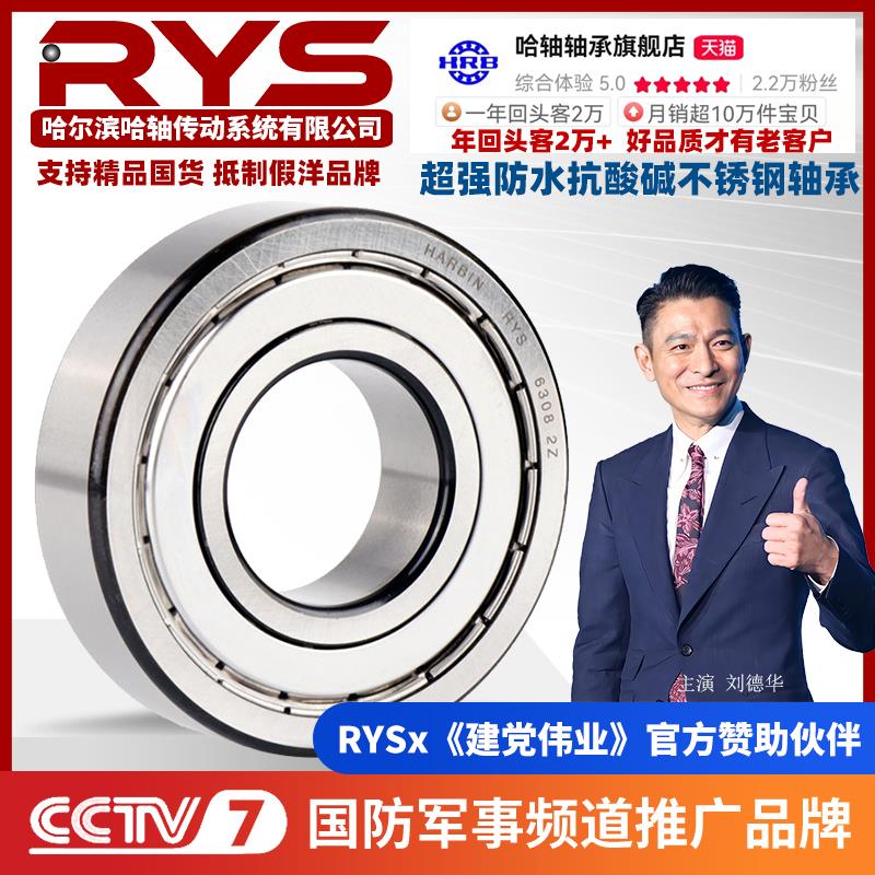 RYS 不锈钢轴承 6306 6307 6308 6309 6310 6311 ZZ 440 304材质