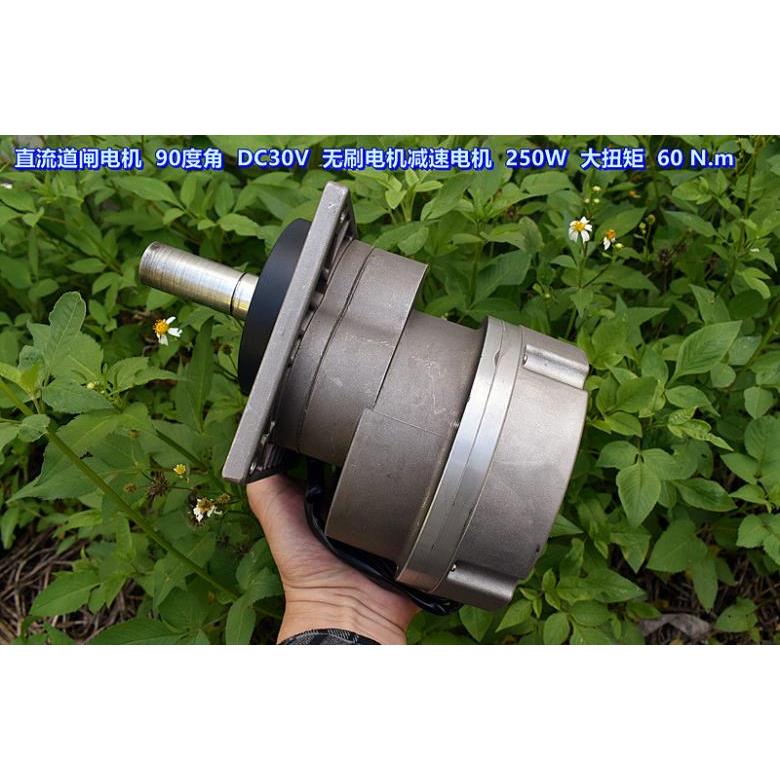 直流道闸 90度角 无刷减速电机 250W 大功率 60.N.m （一整套）
