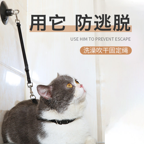 猫咪洗澡固定器i宠物洗澡神器防跑防抓咬控制绳幼小猫剪指甲保定