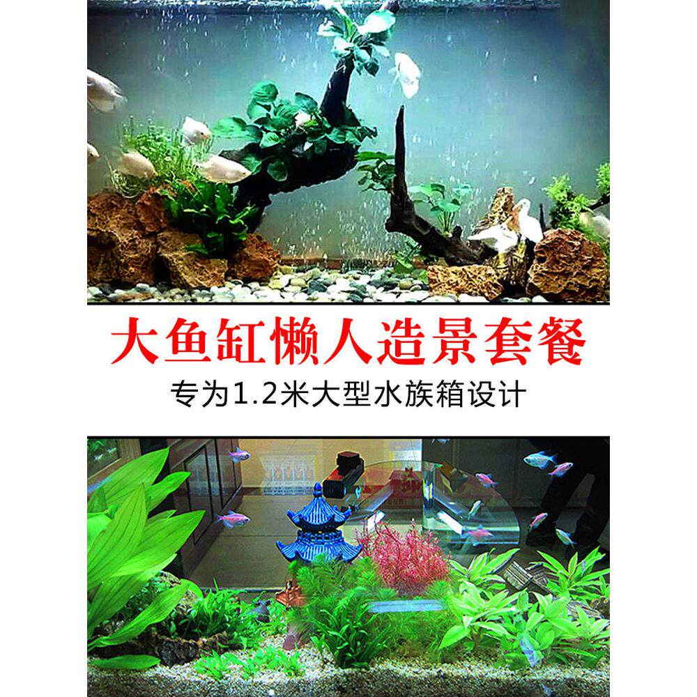 鱼缸造景套餐真水草沉木1.2米水族箱假山石成品全套活体水草包邮