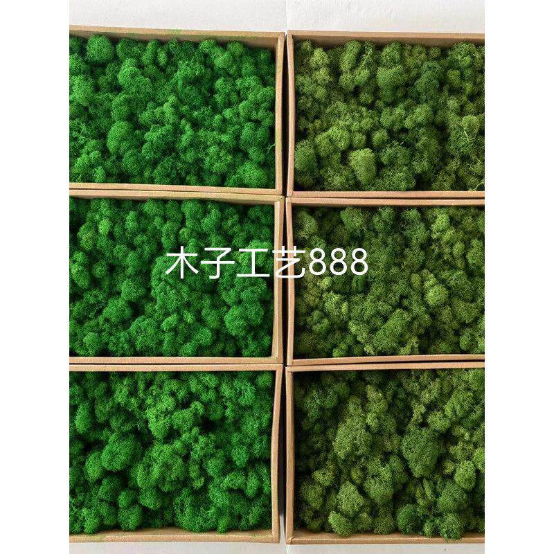 永生苔藓彷真青苔藓草坪场景装饰假苔藓500克蓬松有杂质diy花盒