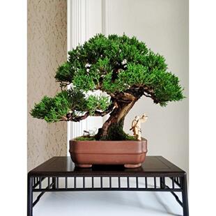 采购产品汉字，陶瓷小饰品，古文字，象棋，花图，鲁豫，秦俑，盆