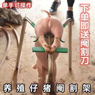 仔猪不锈钢三角阉割架挂式腌猪器养猪绝育猪崽去势架子阉猪手术架