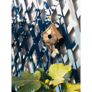 比如树│户外庭院铁艺覆古鸟窝花架爬藤架花园花插园林景观阳台