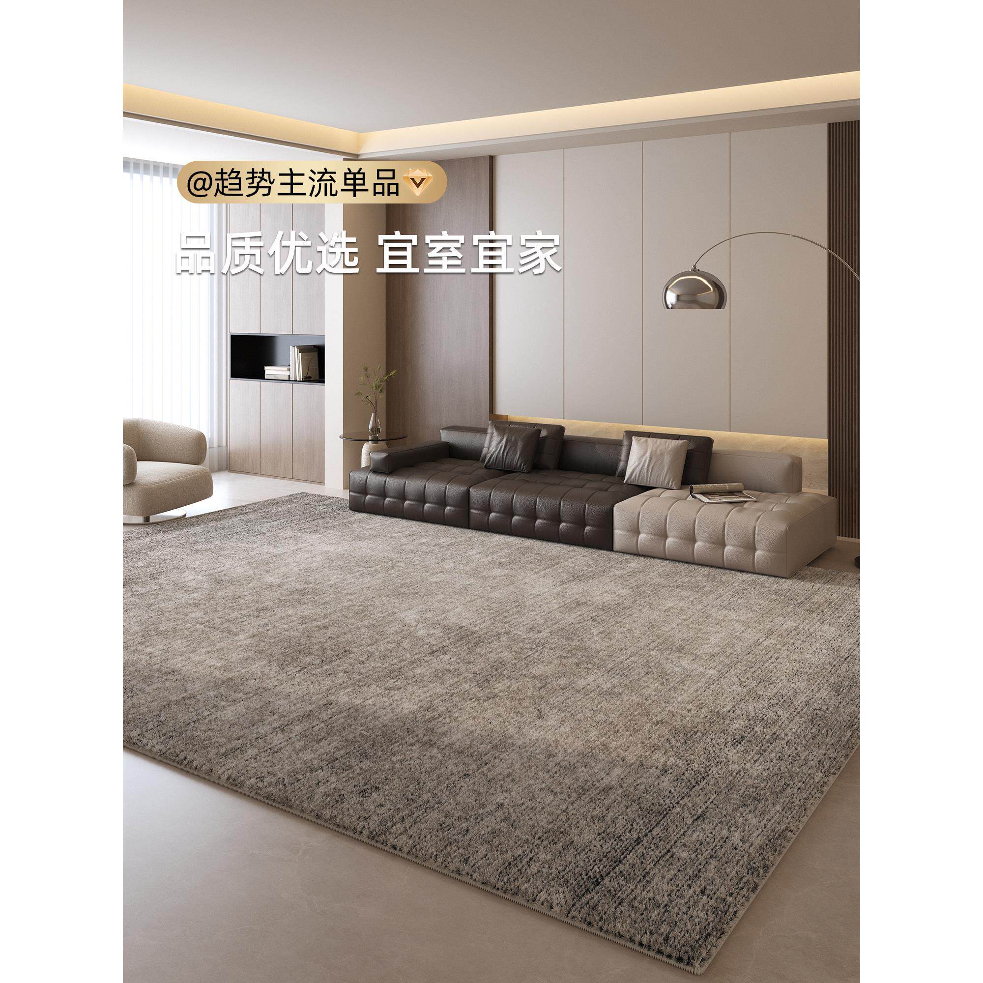 地毯客厅轻奢高级感免打理卧室床前加厚隔音毛绒茶几地垫2025新款