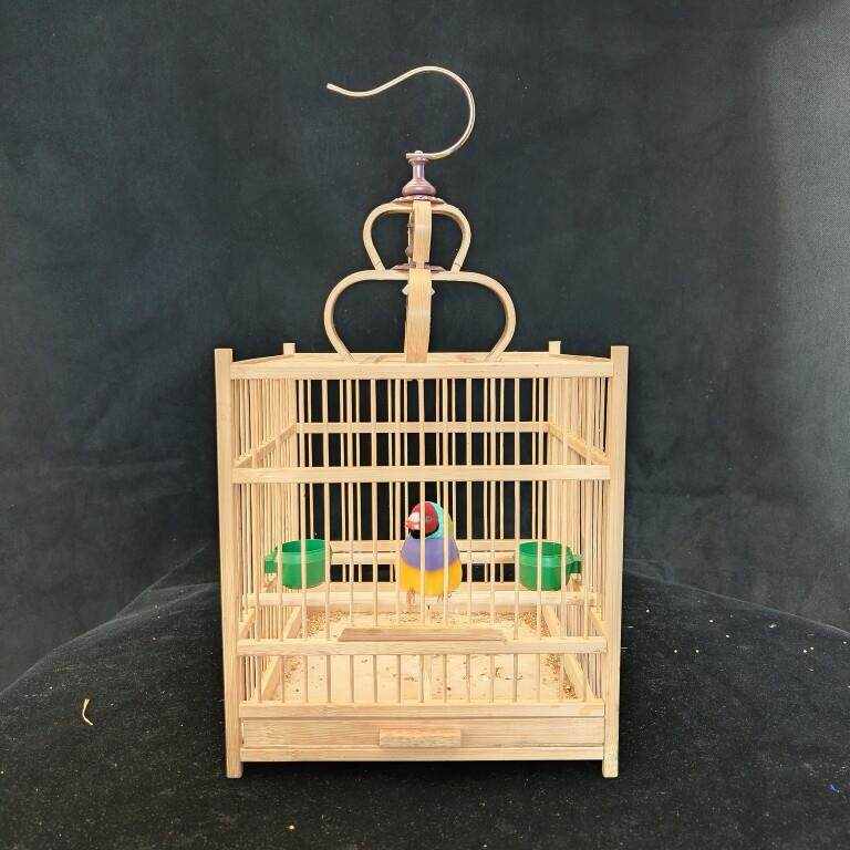 竹制小鸟笼七彩文鸟专用笼珍珠鸟笼配件齐全包邮包损