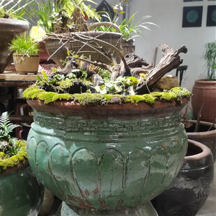 古法养鱼缸南瓜形状粗陶土陶缸浅缸 庭院阳台布景装饰摆件造景缸7