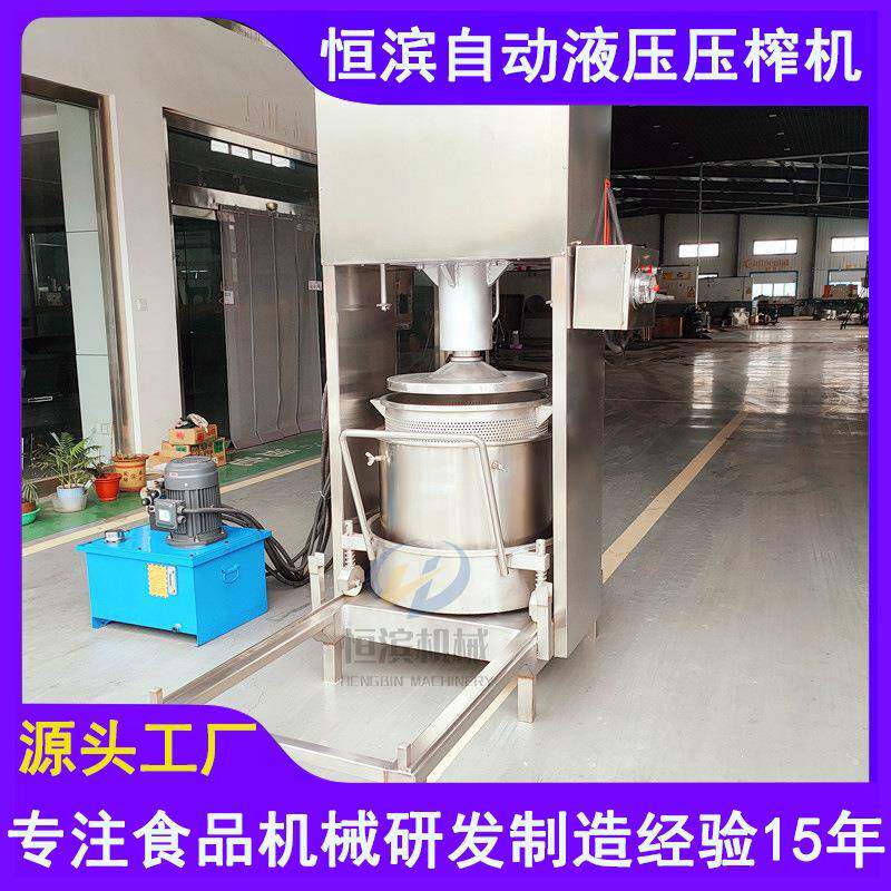 冰葡萄蔓越莓快速榨汁机沙棘果枸杞果粉提取过滤压榨机