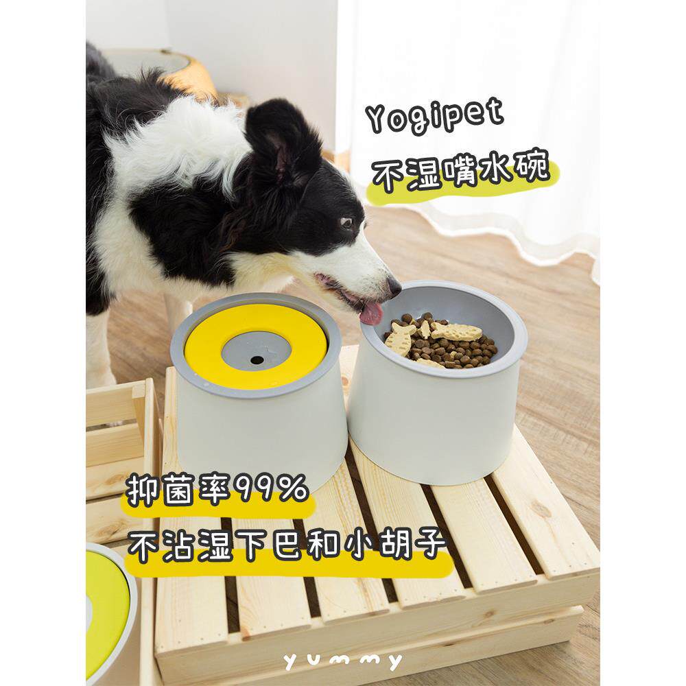 韩国不湿嘴水碗yogipet宠物猫狗水盆不脏胡子抗菌防溅悬浮饮水器