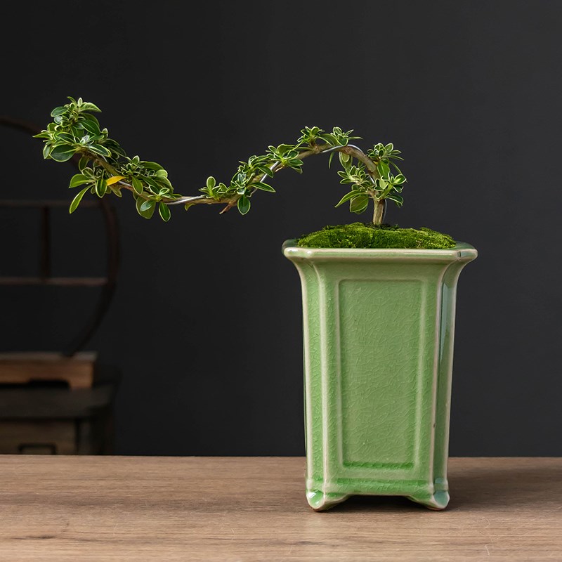 四方高款兰e花花盆陶瓷飘枝绿植盆桌面造景盆景盆创意复古中式花