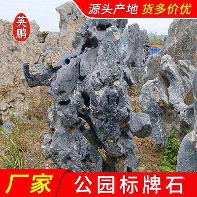 梦幻的花园太湖石打造的人工湖驳岸水系带你进入个性的景观