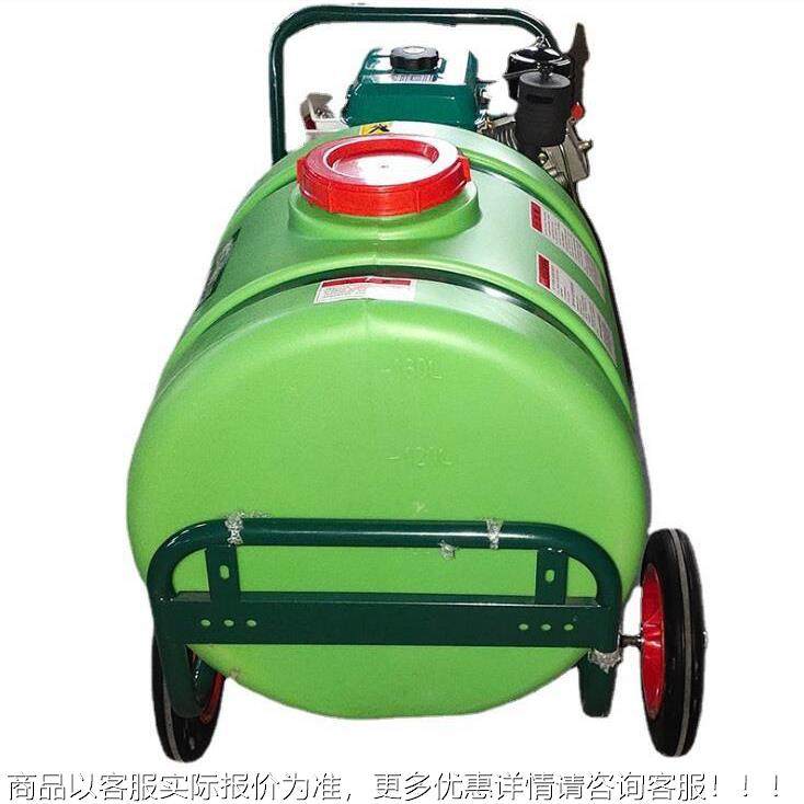 园四川手推药式汽油打药机喷雾柱塞泵四轮打车 养殖160升汽消毒林,农机/农具/农膜,植保机械,淘宝优惠券,粉丝福利购,淘宝优惠卷