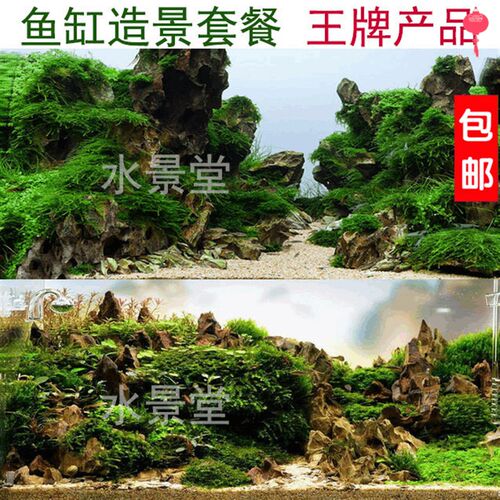 松皮石鱼缸懒人造景 鱼缸懒人水草鱼缸造景真水草鱼缸水草水族箱
