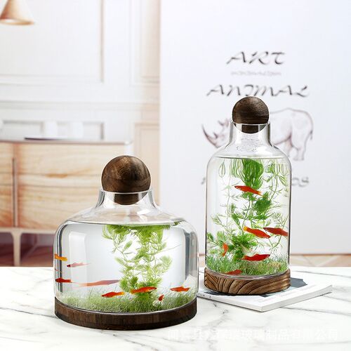厂家轻奢玻璃花瓶木托欧式创意生态瓶椭圆形生财瓶聚宝盆微景观