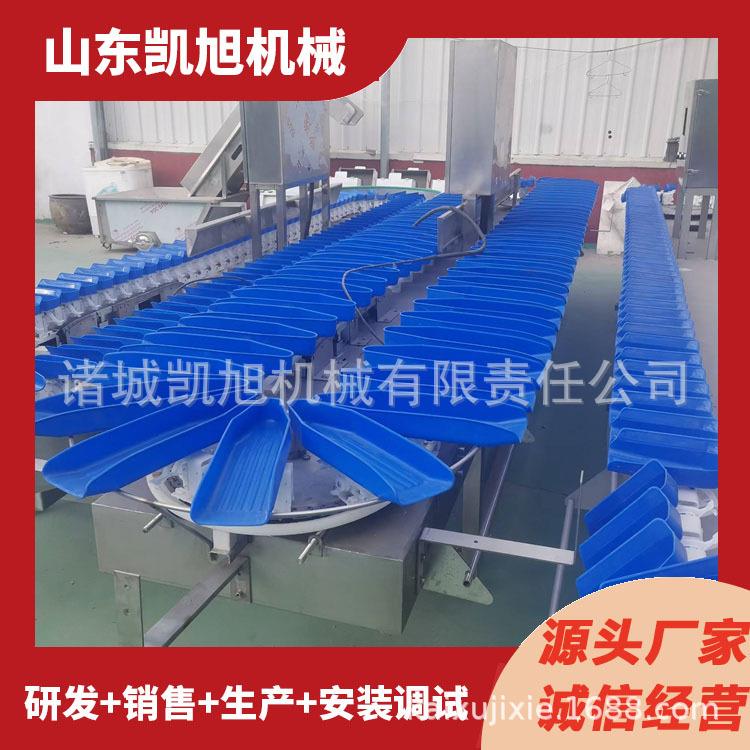 山药苗豆苗自动称重分级分拣机山药种子称重分级分选机源头厂家