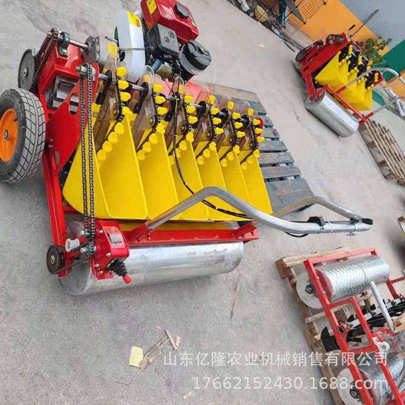 手推式大蒜播种机农用4行种蒜机单粒蒜瓣点播机