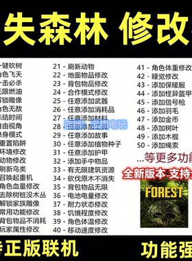 迷失森林1代修改器TheForest正版steam联机刷资源建筑 不含游戏