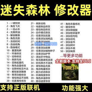 迷失森林1代修改器TheForest正版steam联机刷资源建筑 不含游戏