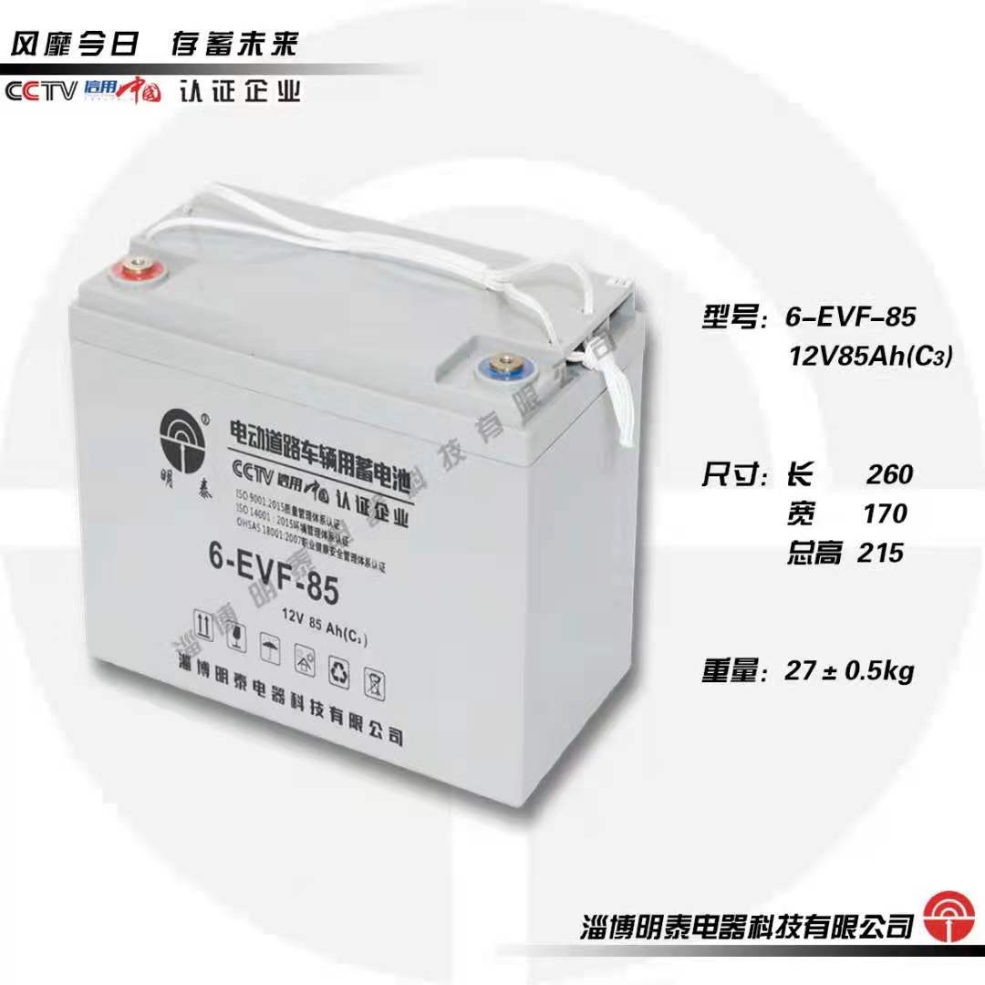 6-EVF-85明泰老年代步车蓄电池
